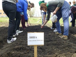 Юрга, ЮГС: Зимниковская школа выращивает лес