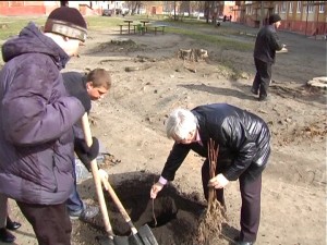 Юрга, ЮГС: Посадка деревьев