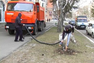 Юрга, ЮГС: Посадка деревьев