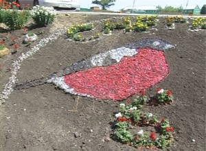 Юрга, ЮГС: Конкурс клумб продолжается