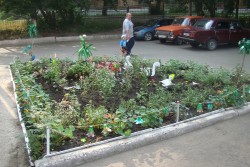 Юрга, ЮГС: Участники конкурса &laquo;Юрга &mdash; цветущий сад&raquo;