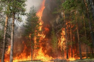ЮГС: Приближается пожароопасный период 