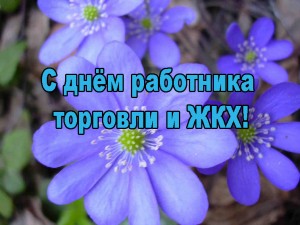 http://www.yugs.ru/autothumbs.php?img=/images/novosti_goroda_i_rajona/2012/03/11298_copy_300_225.jpg