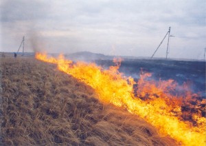 Юрга, ЮГС: Весенние пожары