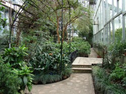 Ботанический сад