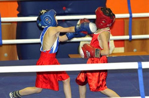 О проведении открытого первенства города по боксу