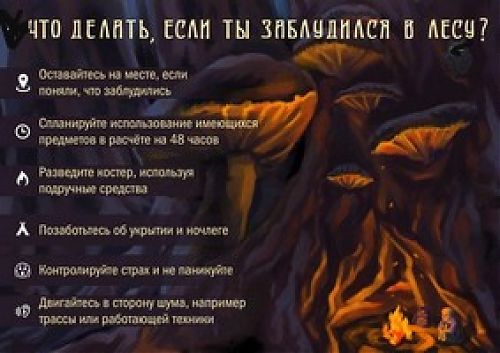 Как не потеряться в лесу?