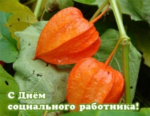8 июня — День социального работника