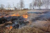 Пожароопасная обстановка в Юргинском районе