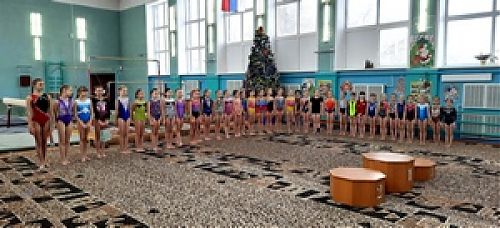 Итоги Новогоднего первенства по спортивной гимнастике