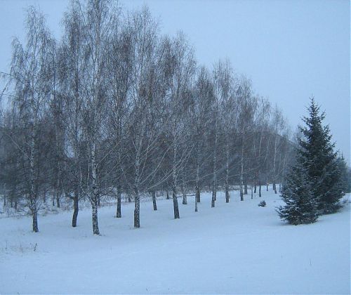 Липатова Анастасия Юрьевна