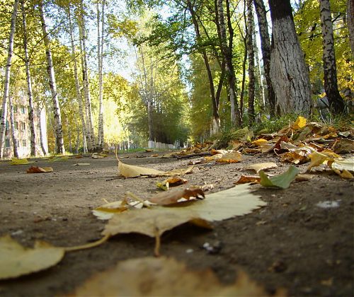 Валентова Людмила Викторовна