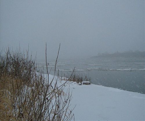 Липатова Анастасия Юрьевна