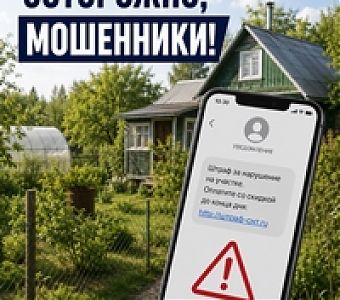 Как защититься от новой схемы мошенничества с дачными участками