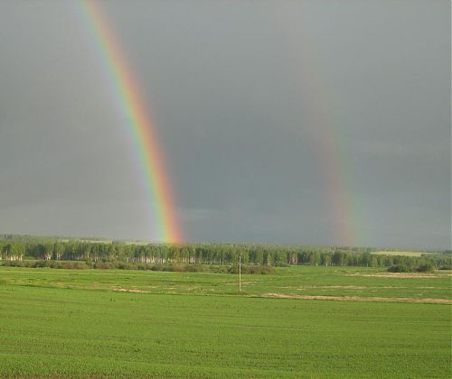 Ерузель Екатерина Александровна