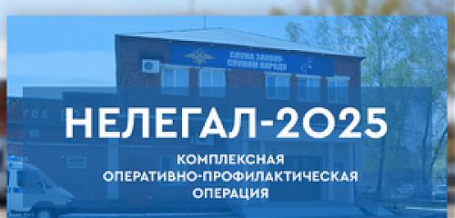 Итоги комплексной оперативно-профилактической операции «Нелегал-2025»