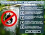 О пожарной безопасности в период цветения тополей