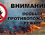 В Кузбассе введен особый противопожарный режим, ответственность за его нарушение