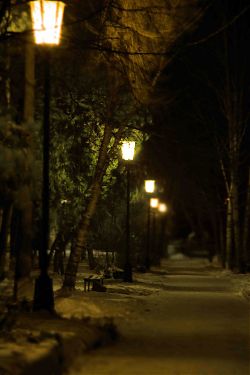 Зимняя аллея (в парке им. А.С. Пушкина)