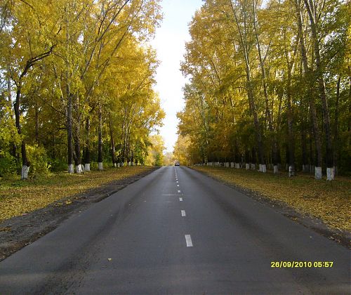 Штейников Александр Сергеевич