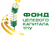 Эндаумент 