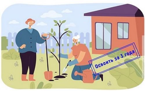 Закон об освоении земельных участков: без штрафов и изъятия