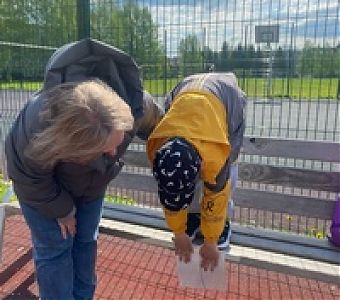 ВФСК ГТО: первые успехи дошкольников