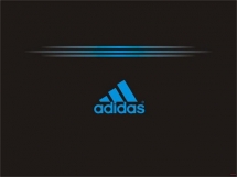 Фальшивый «adidas» в Юрге