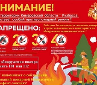 Особый противопожарный режим в Кузбассе: сроки, рекомендации