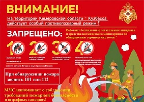 Особый противопожарный режим в Кузбассе: сроки, рекомендации