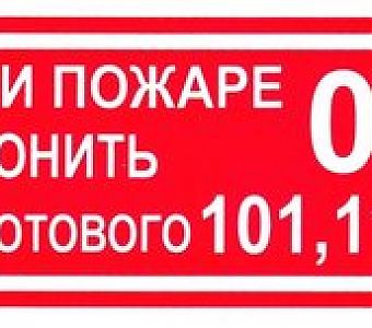 Как позвонить в пожарно-спасательную службу?