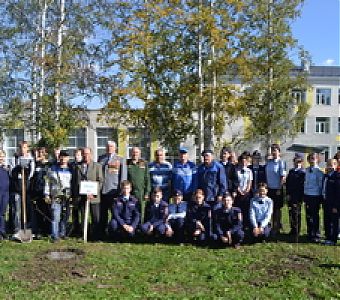 «Зеленая Россия»: в Юрге появилась новая аллея из берез