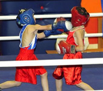 О проведении открытого первенства города по боксу