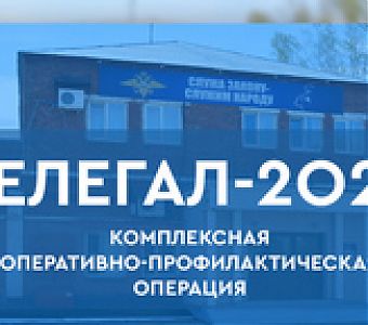 Итоги комплексной оперативно-профилактической операции «Нелегал-2025»