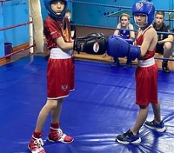 О проведении традиционного турнира по боксу